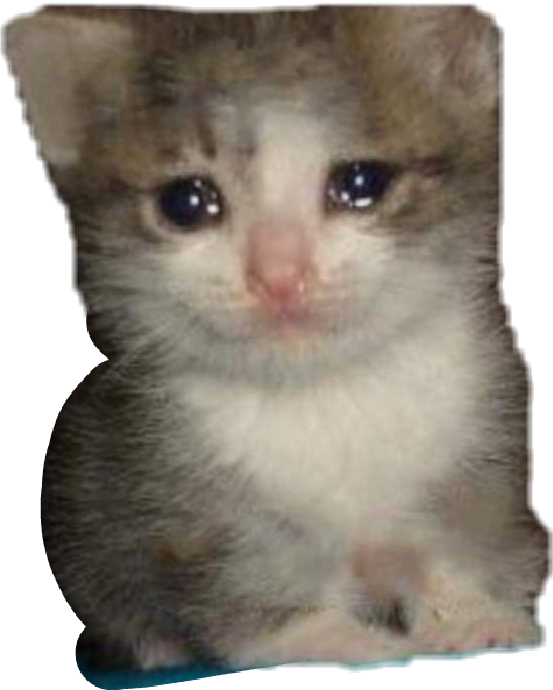meme crying kitty cat cute dank freetoedit...
