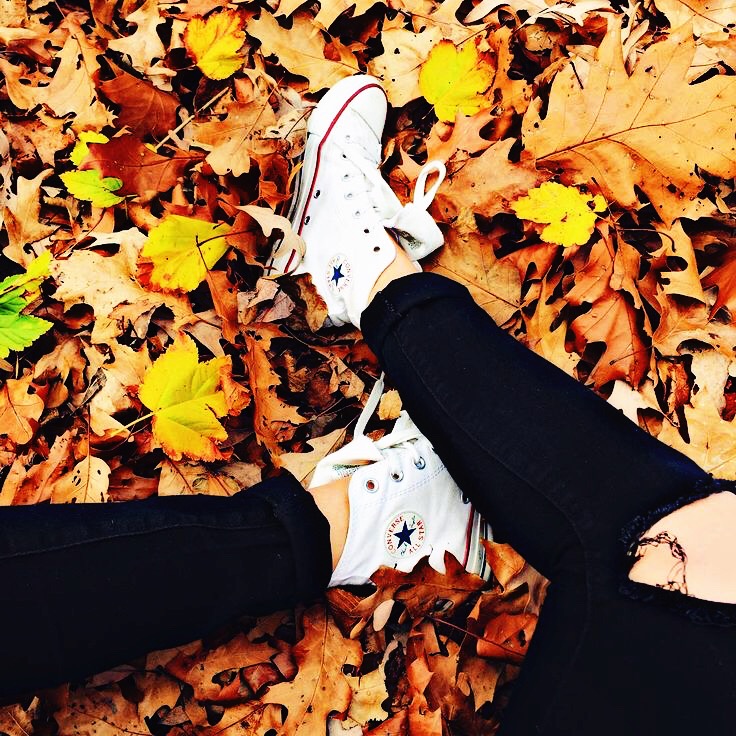 autumn converse