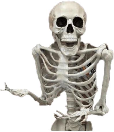 skeleton spoopy halloween sticker meme memes dank newme...