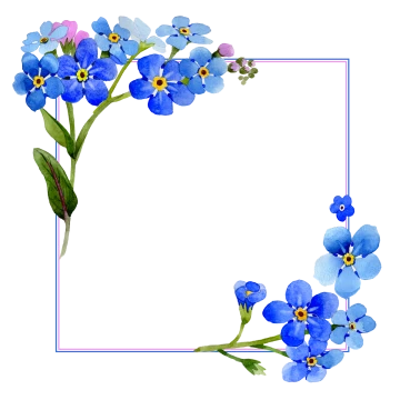 Flower Watercolor Blue Frame Pictureframe Acuarela Flor