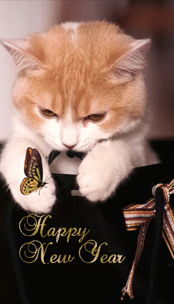 cat butterfly happynewyear GIF by MOMO