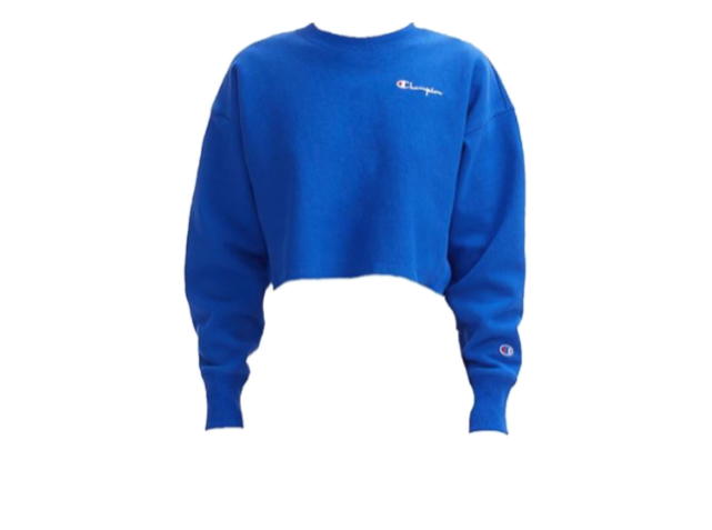 champion jumper blue