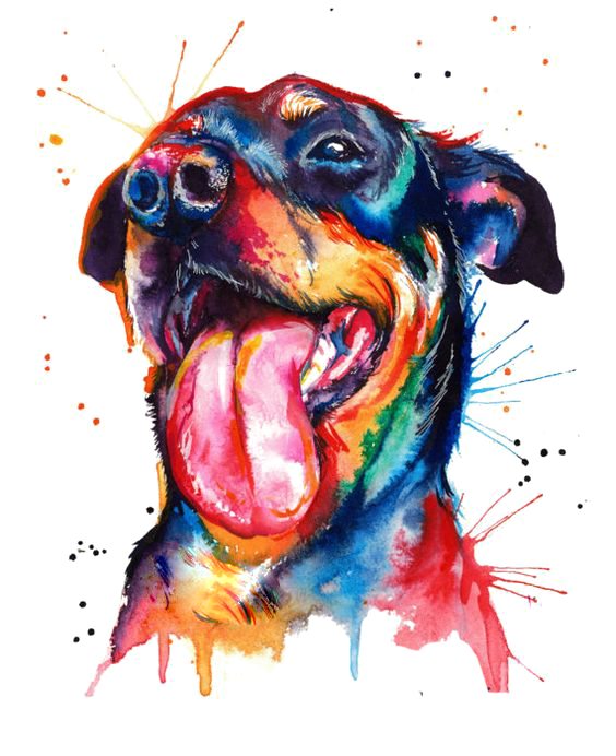 dogs dog portrait drawing colorful puppy face perro art…