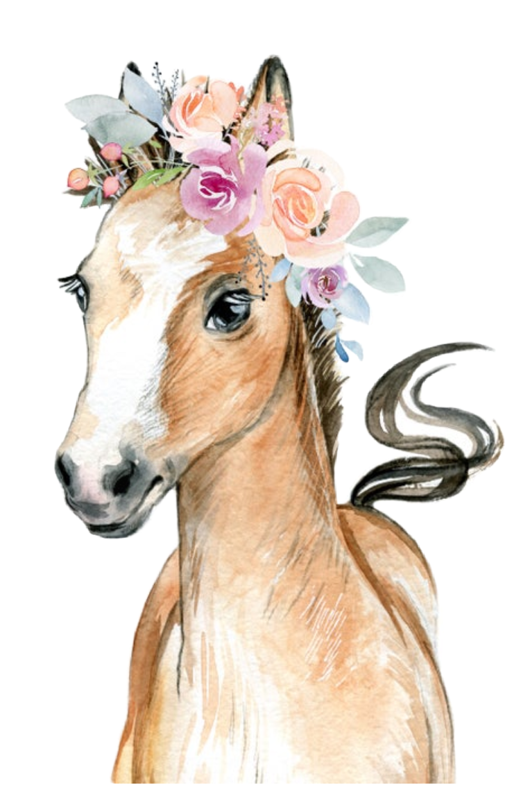 watercolor horse babyanimals farmanimals fowl pony flow...