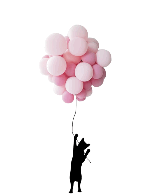 cat pink balloons GIF by carrie delgadillo