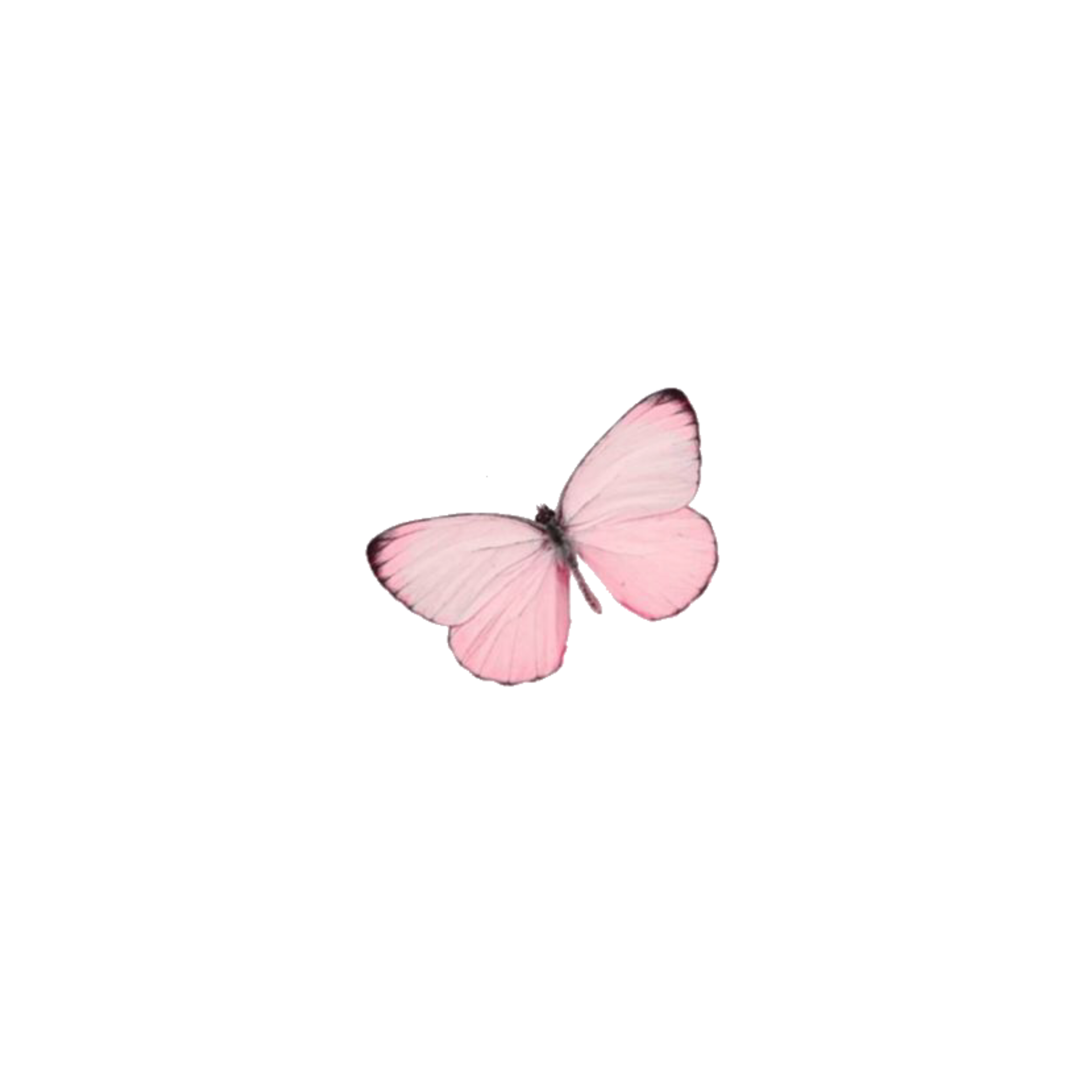 soft messy aesthetic butterfly pink pinkbitterfly cute...
