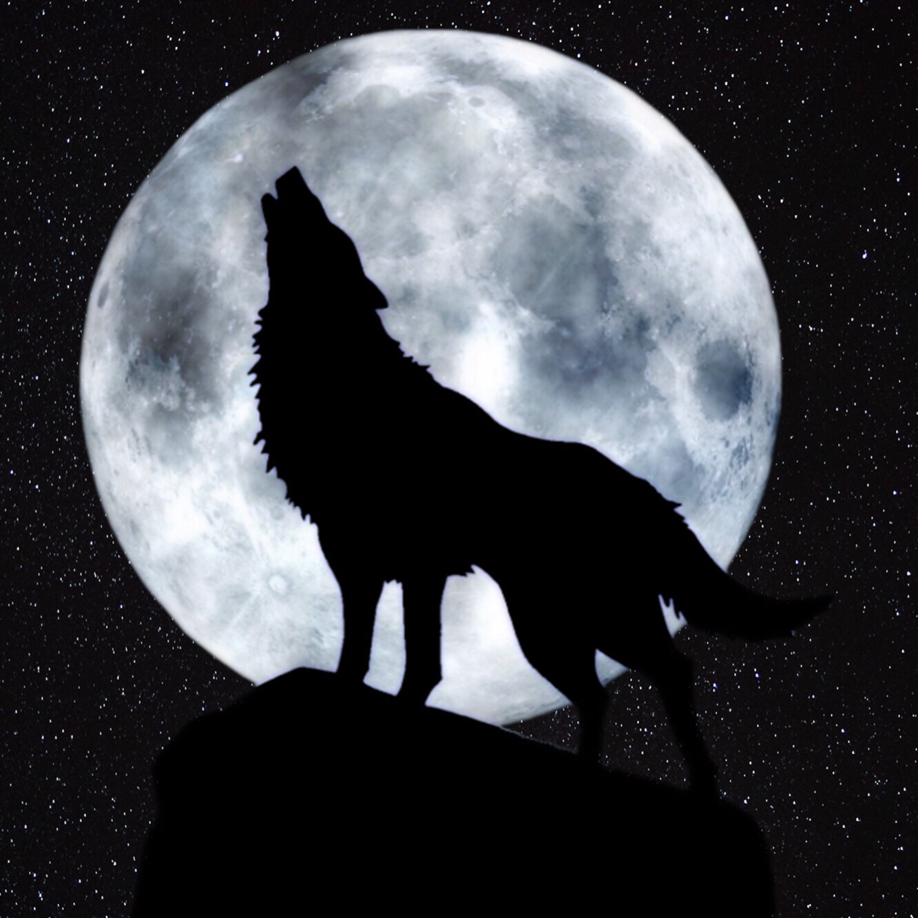 Волк на фоне луны