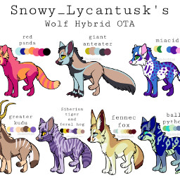 ota adopt furry fursona wolf hybrids