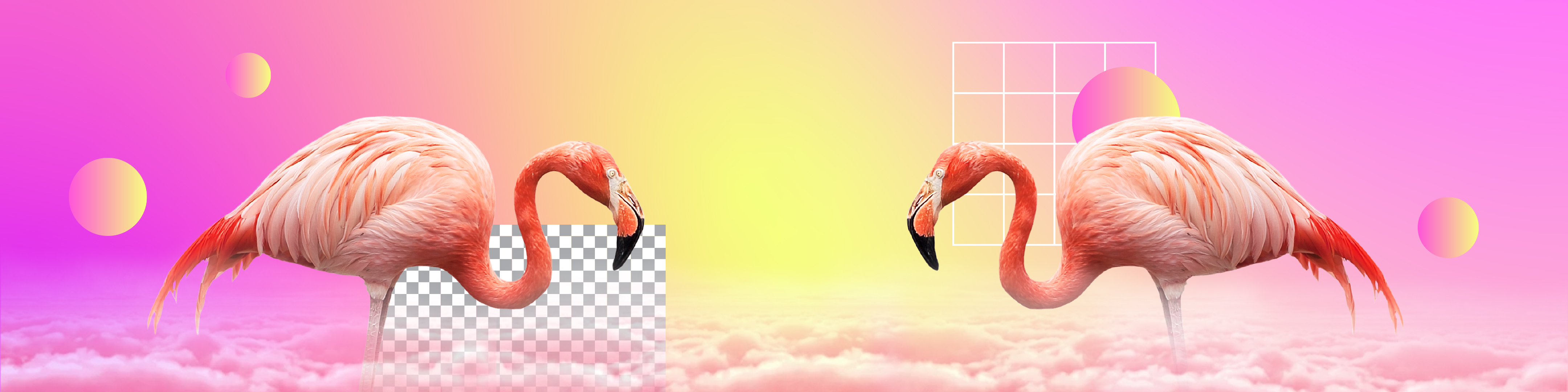 Picsart banner for @picsart