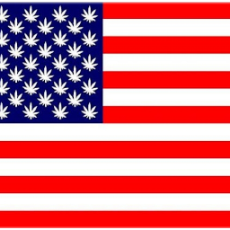 flag usa america weed pot stripes