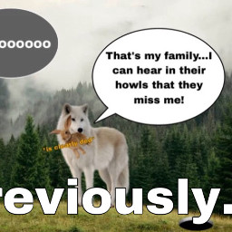freetoedit wolf ehehehe family wolfpack part4 wow wolves wolfpups forestbackground newterritory territory oooh interestingstory replaystory replay story