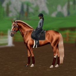 horse equestrian sso freetoedit