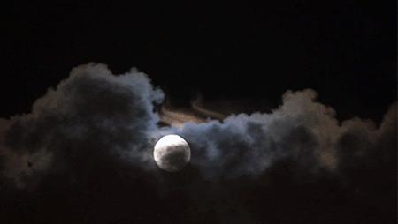 moon moonlight night forestcore ghostcore gothic werewolf fullmoon spooky halloween october