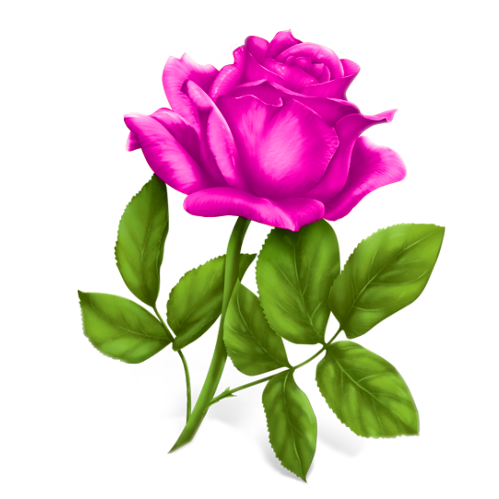 Disney Sex Beautiful Rose Roses Sticker By Magomedova984 