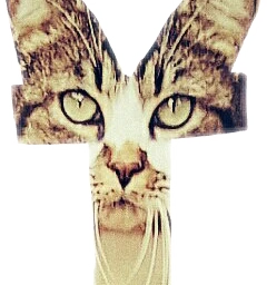 fteletterdesign cat thelettert t letter freetoedit