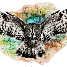 owl freetoedit fteowl