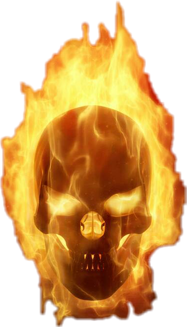 jasro68 flamingskull freetoedit sticker by @jasroinsanity