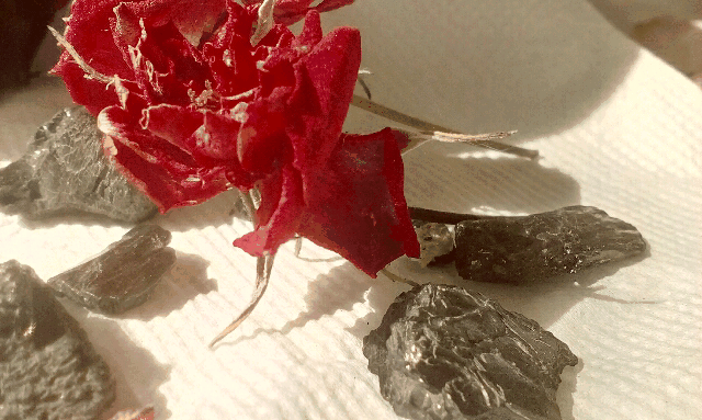 rose flower blood rock red GIF by Outside Repose
