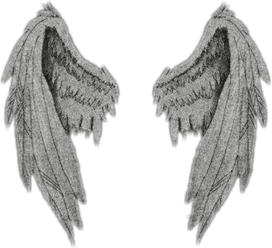 Angelwings Sticker Stickers Wings Sticker By Seabird