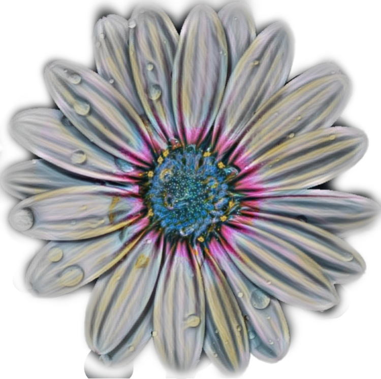 FreeToEdit png flower with a transparent background...