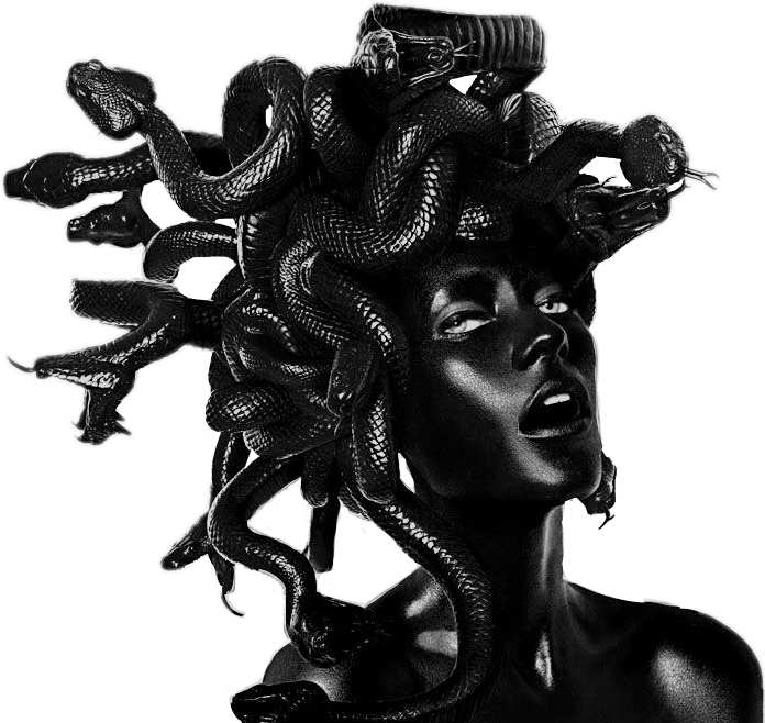 vaporwave aesthetic black medusa snake statue grunge...