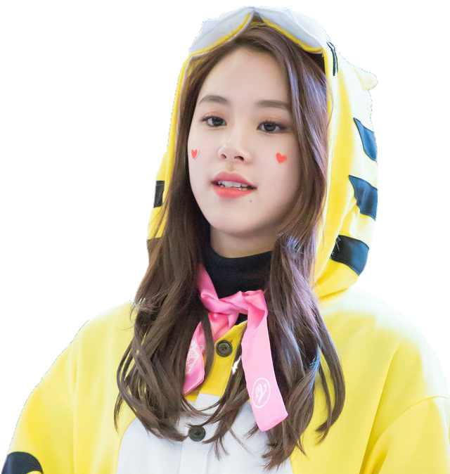 This visual is about chaeyoung twice 채영 트와이스 tiger freetoedit #chaeyoung #t...
