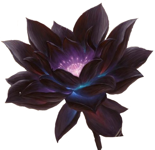 Black lotus com