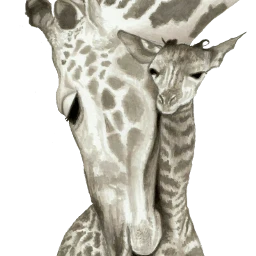 ftegiraffe giraffe stickers beautiful petsandanimals freetoedit