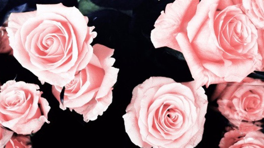 Picsart banner for @insincere