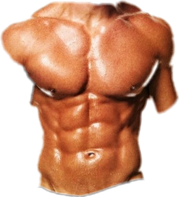 Download 6 Pack Picsart Pictures