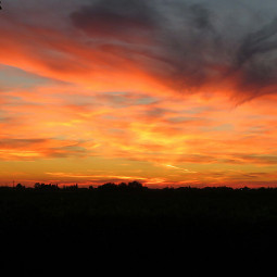 freetoedit photography sunsetlight sunlight redsunset