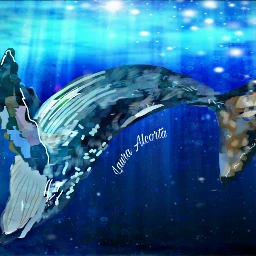 wdpwhale ballena luz lauralcorta fondo
