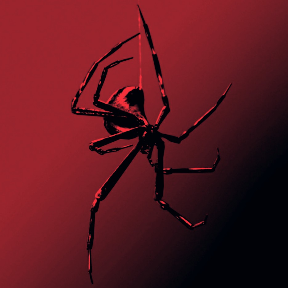 freetoedit. cover spider widow image by @mariahlopez51202