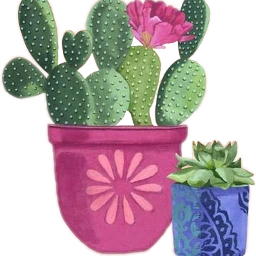 freetoedit sccactus cactus kakt flowers fteflowers schouseplants