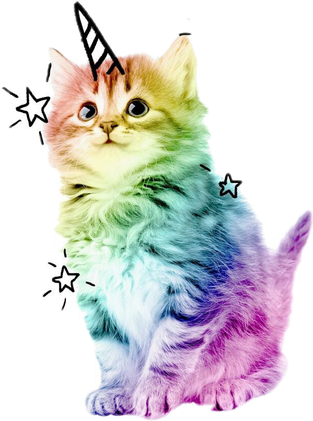 Kawaii Unicorn Rainbow Cat My Xxx Hot Girl 