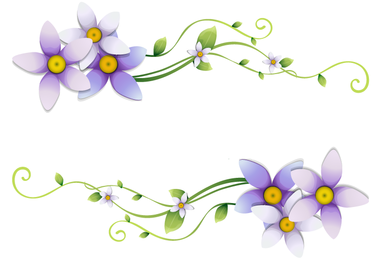 Daysis flores