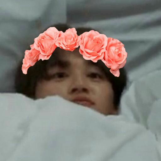 хах чима миилый - Image by ira.izotova.04