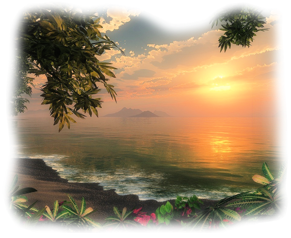 nature sunsets beach beautiful freetoedit sticker by @pumaen