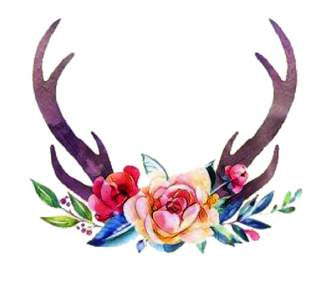 Popular and Trending antlers Stickers on PicsArt