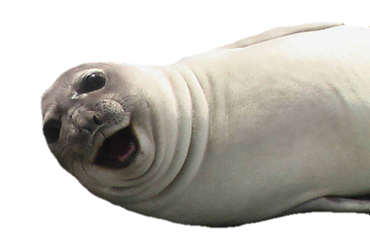 photobomb seal lol freetoedit sticker by @constancekeller