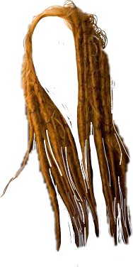 Popular and Trending dreadlocks Stickers on PicsArt