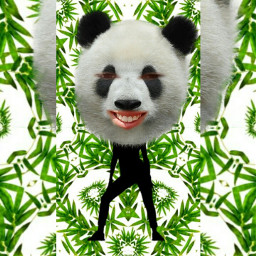 freetoedit panda