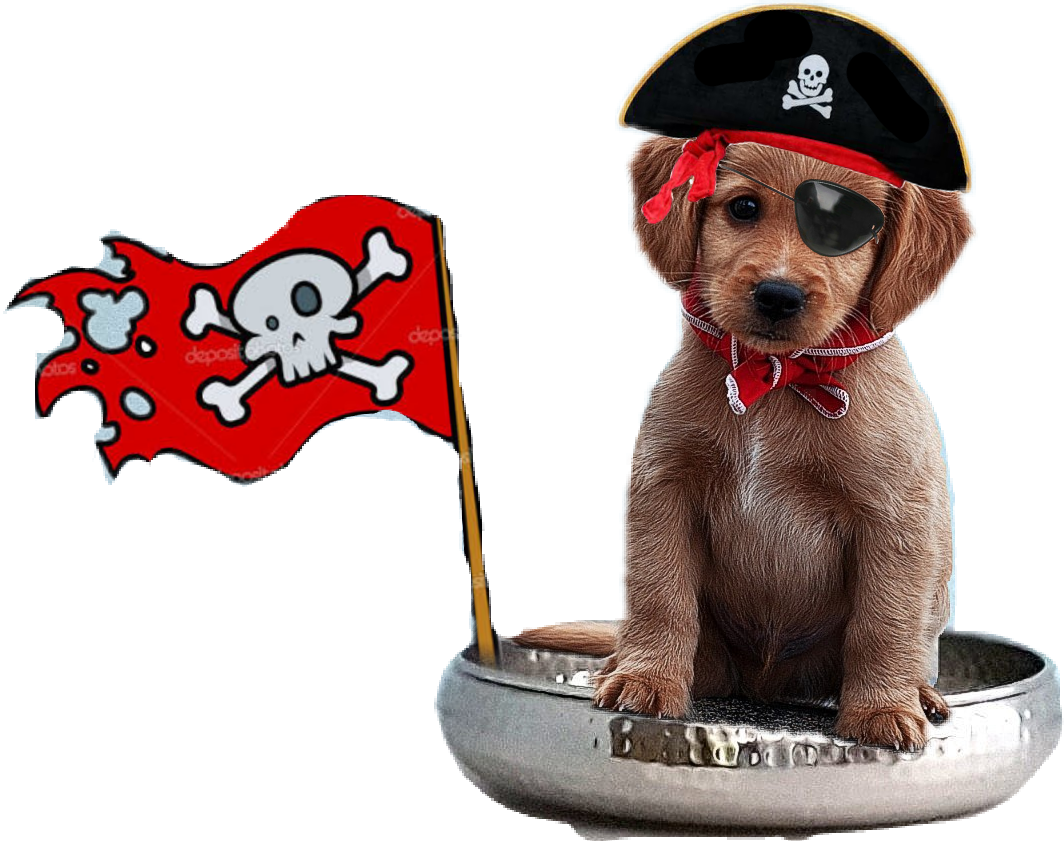dog pirate freetoedit ftepirates sticker by @touchofmagic