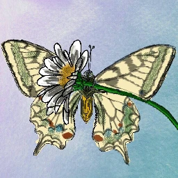 wdpbutterflies mydrawing nature bugs pencilart freetoedit