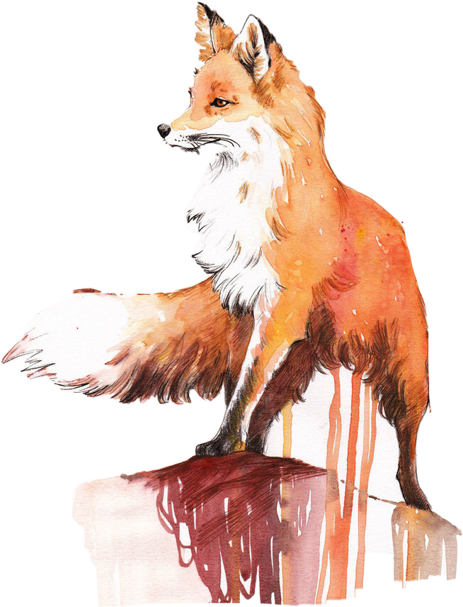 fox freetoedit #fox#freetoedit sticker by @susandp