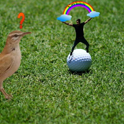 freetoedit ball bird golfedit