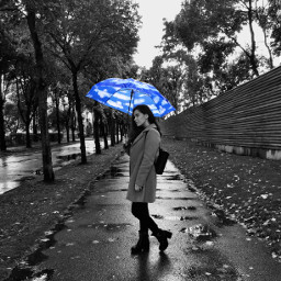 autumn umbrella rainyday