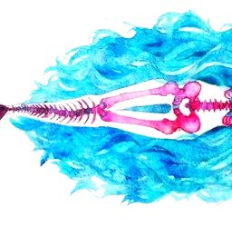 ftefunnyskeletons mermaids skeletons colorful freetoedit