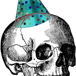 skeleton skull partyhat freetoedit ftefunnyskeletons