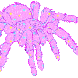 ftespiders spider pinkspider pink sparkly freetoedit